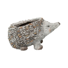 Load image into Gallery viewer, Stony Echidna Planter wHole &amp; Plug 40x25x24cm
